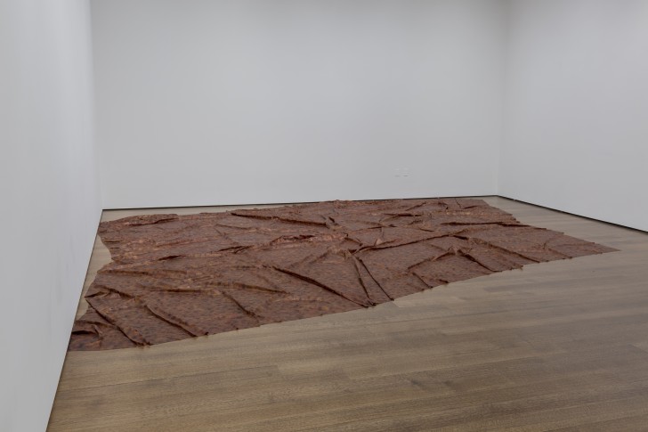 Installation view of A Flor de Piel in Doris Salcedo: The Materiality of Mourning, on display Nov. 4, 2016–Apr. 9, 2017 at the Harvard Art Museums. ©Doris Salcedo. Photo: Harvard Art Museums; ©President and Fellows of Harvard College